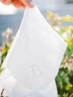 Bestow Soaking Cloth 7 Bestow Soaking Cloth -Jane Iredale Cosmetics Store BestowSoakingCloth